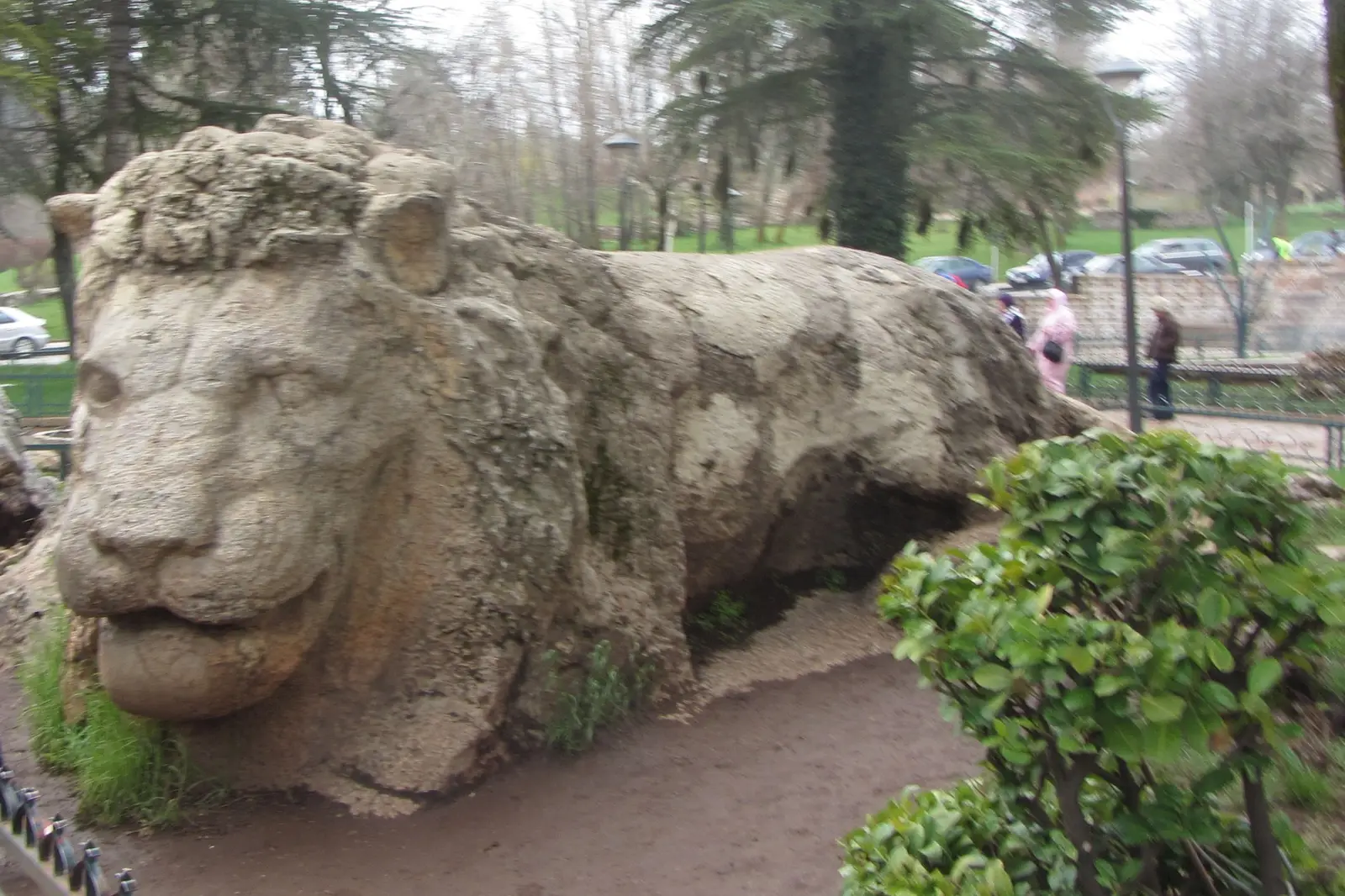 The Ifrane lion was carved by a German soldier during the 2nd World War.