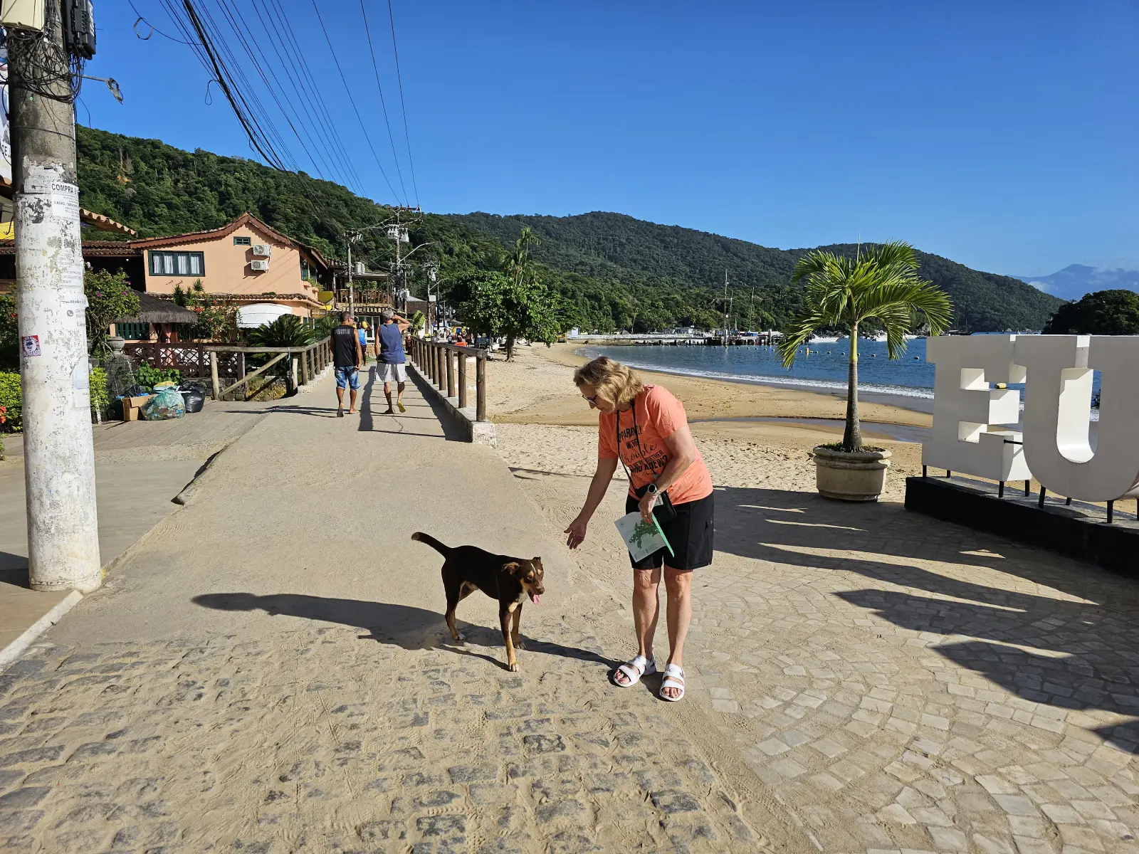 20230316_080833.webp
