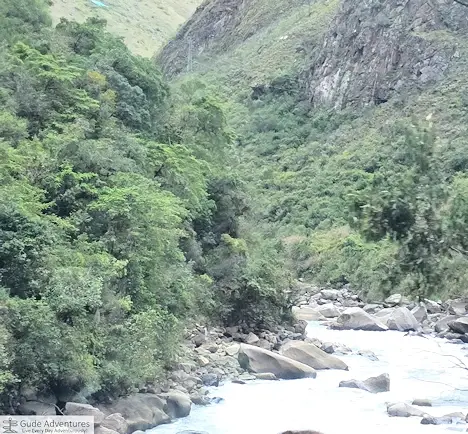 The vegetation changes along the Urubamba River as we enter the Amazon Jungle