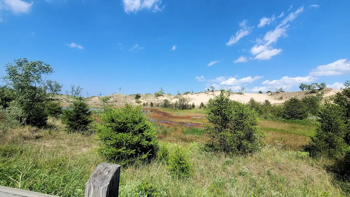Mount Holden sand dune at Indiana Dunes National Park