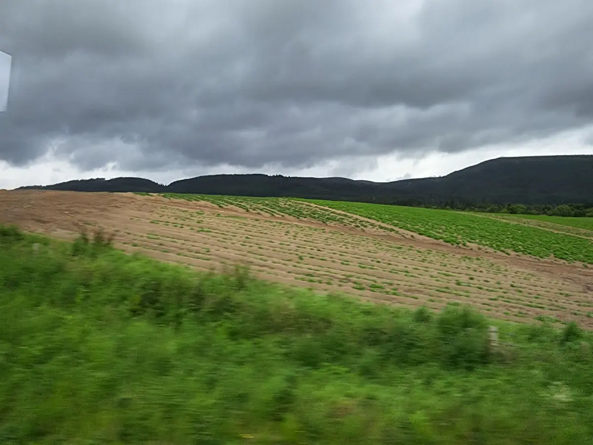 20220610_082648.jpg