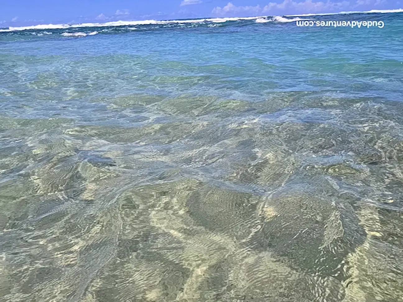 Waves at the beach