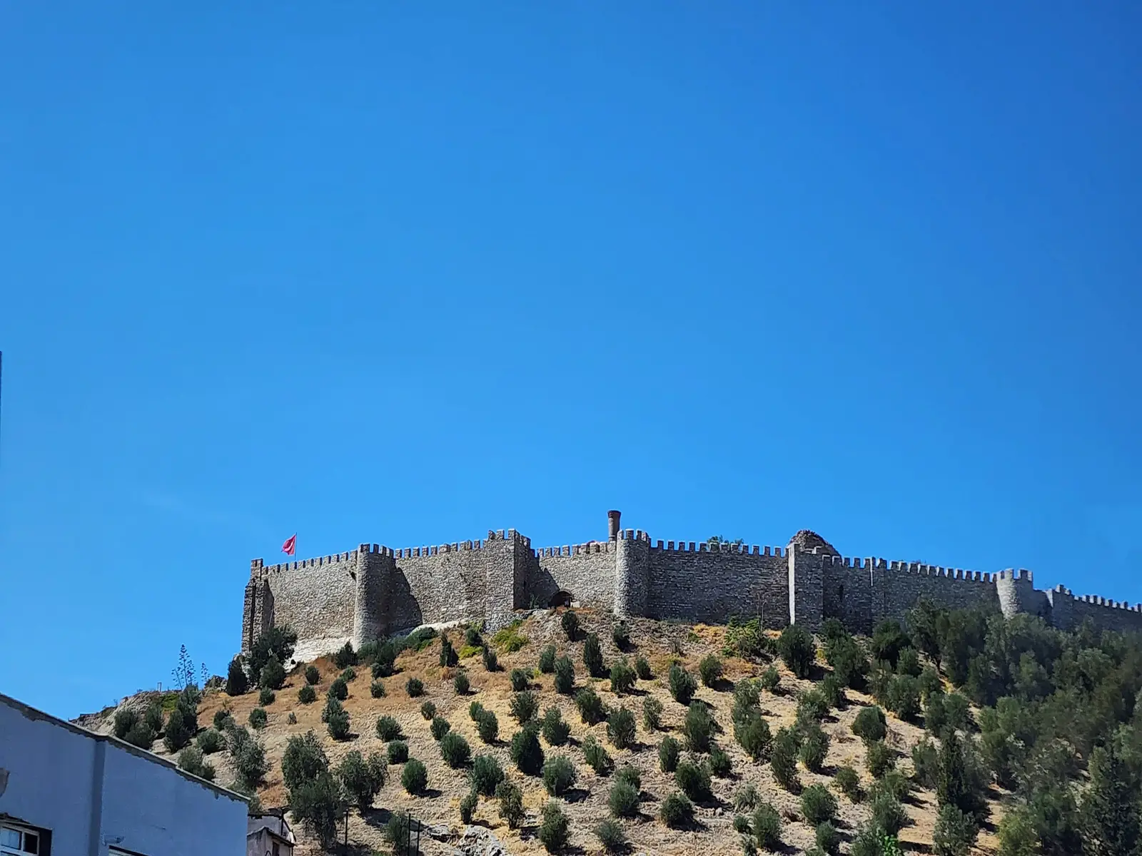 Ayasuluk Castle
