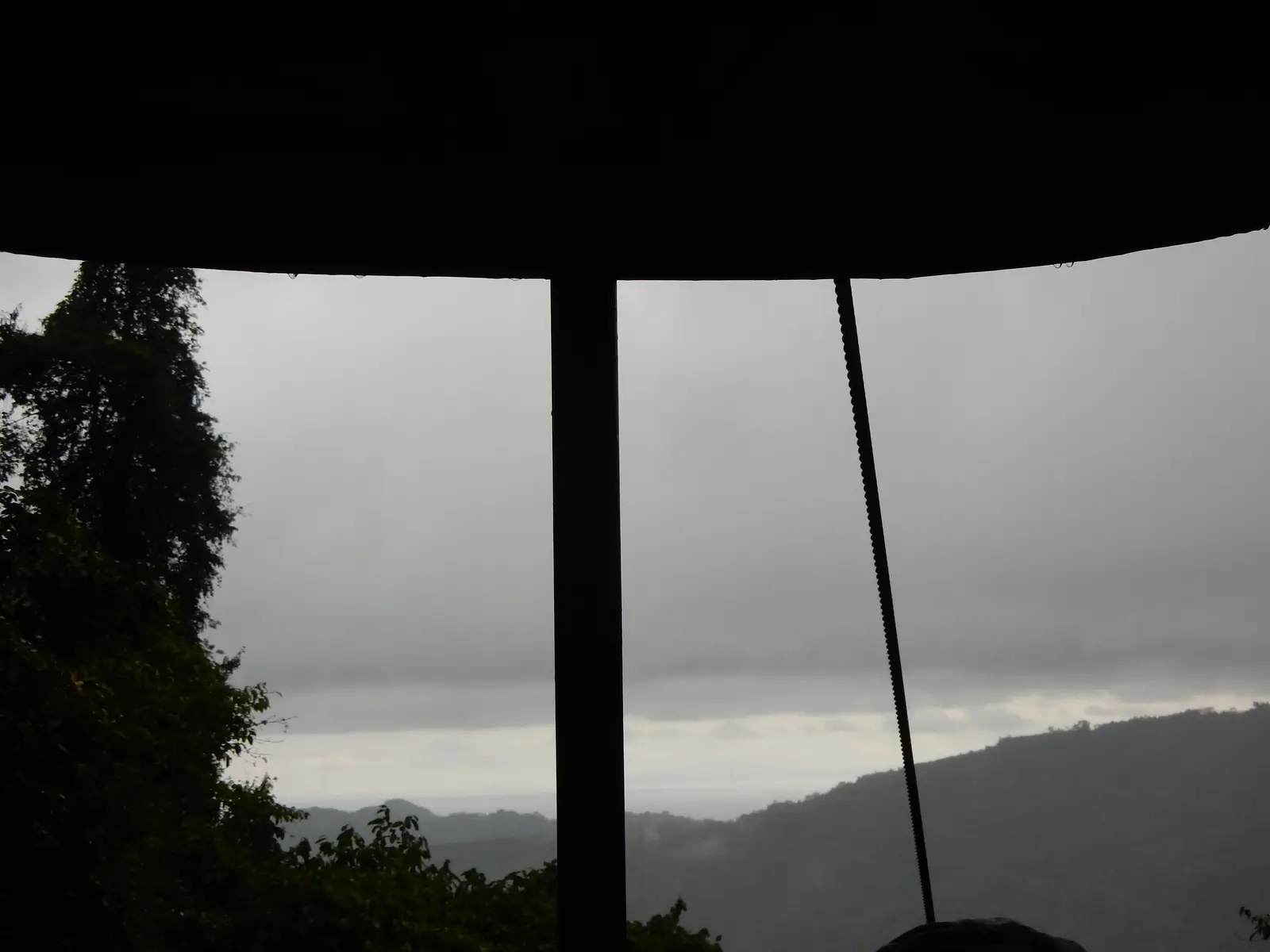 Rainforest Adventures