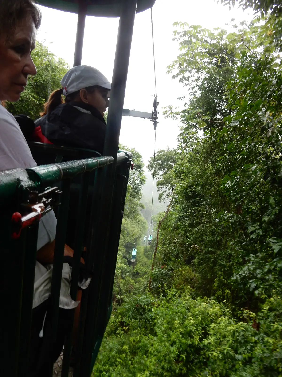 Rainforest Adventures