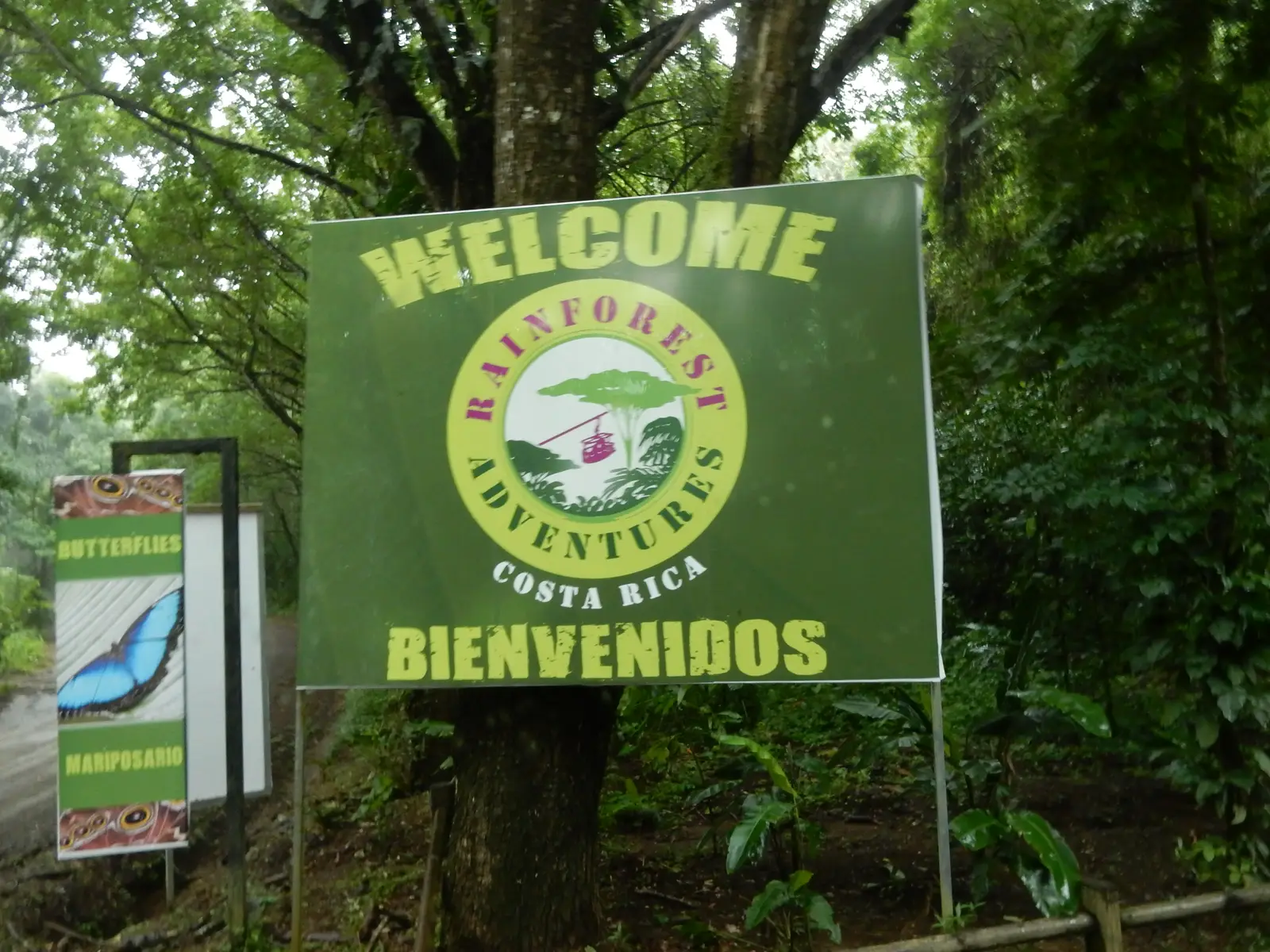 Rainforest Adventures