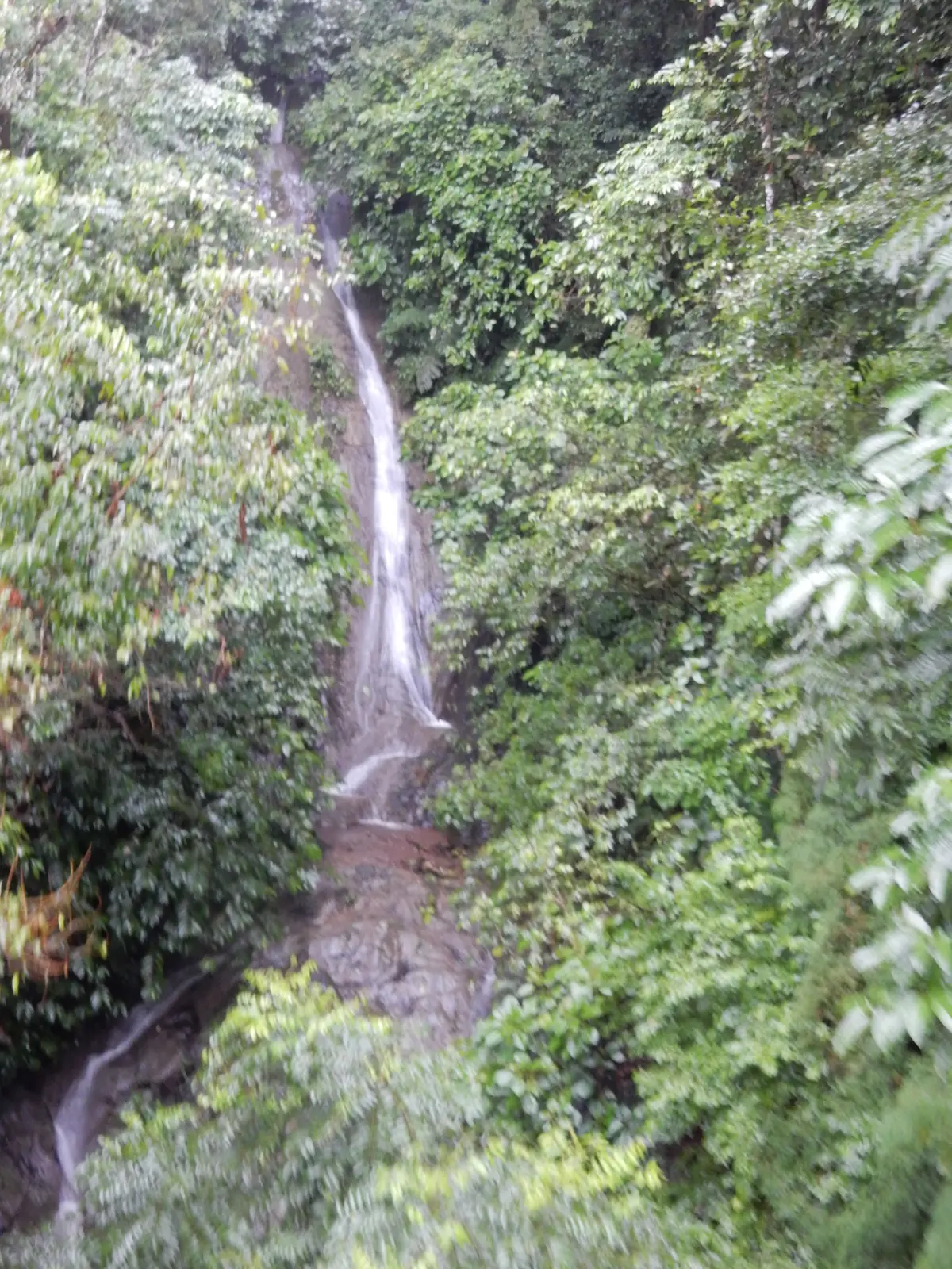 Rainforest Adventures