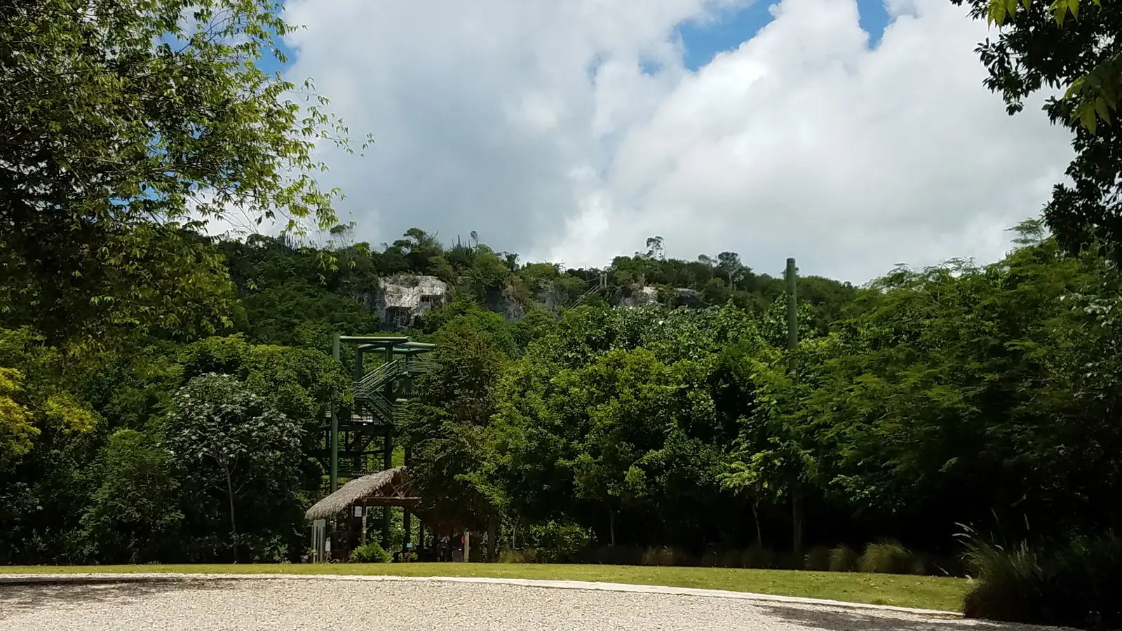 20170602_114120.jpg