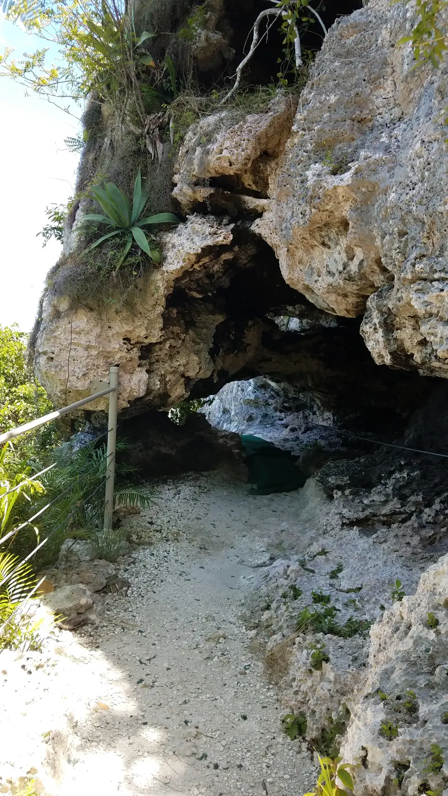 20170602_132217.jpg