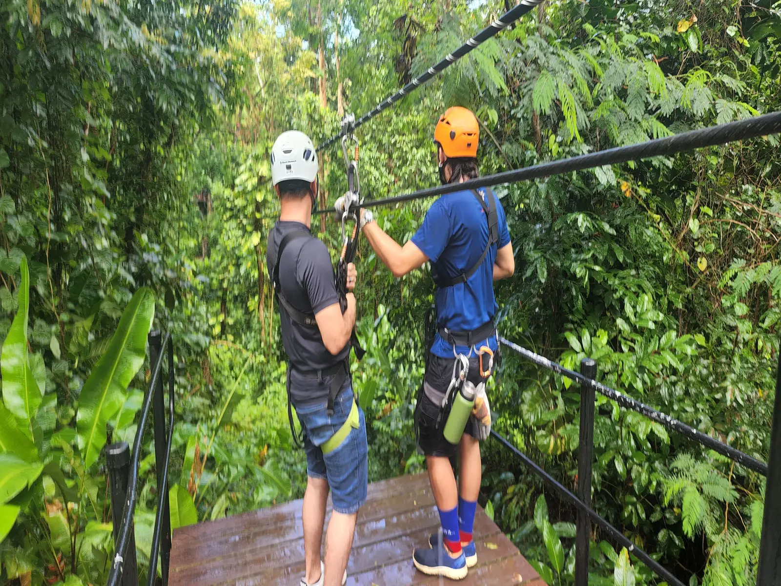 JungleQui Ziplining