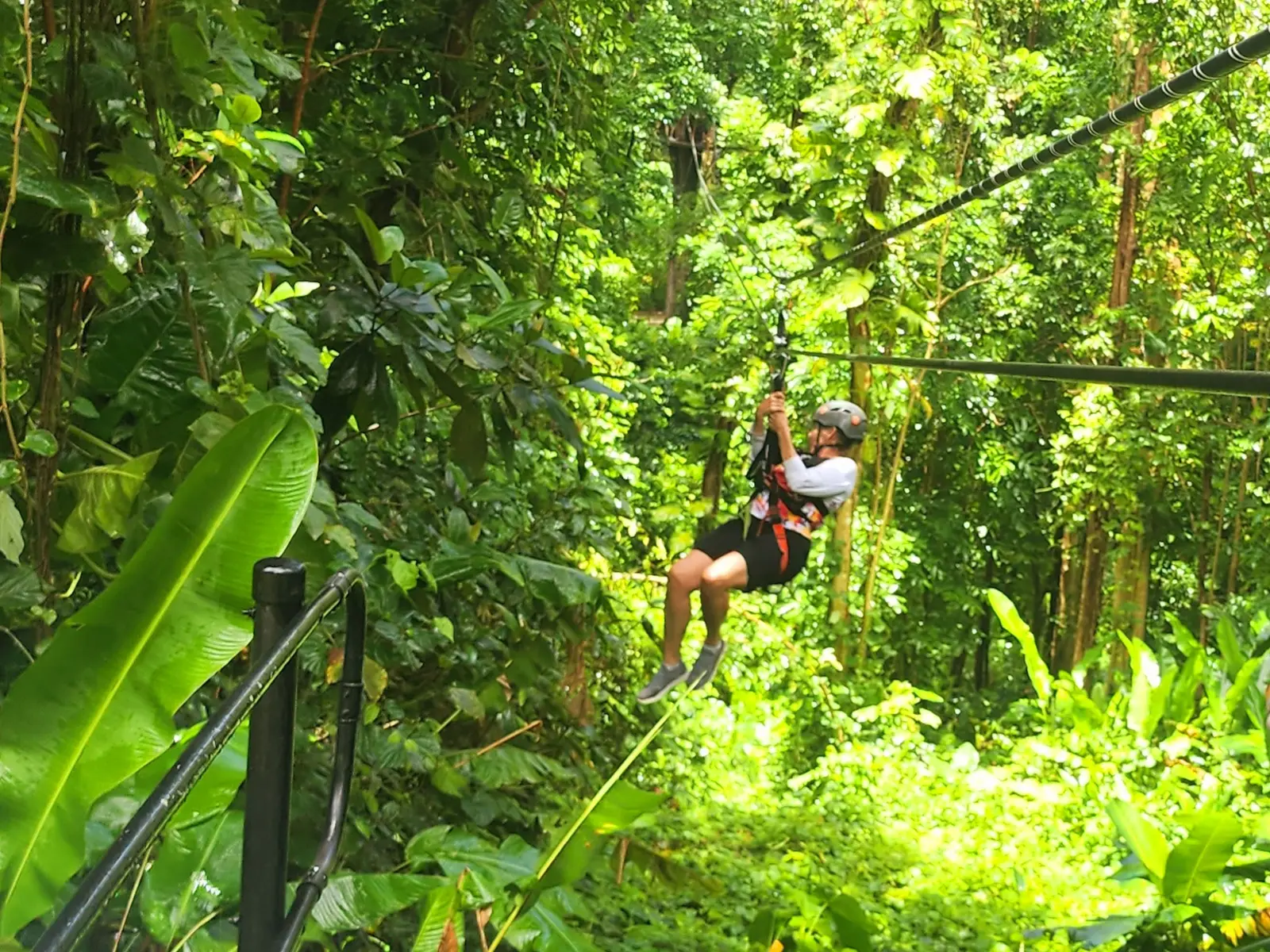 JungleQui Ziplining