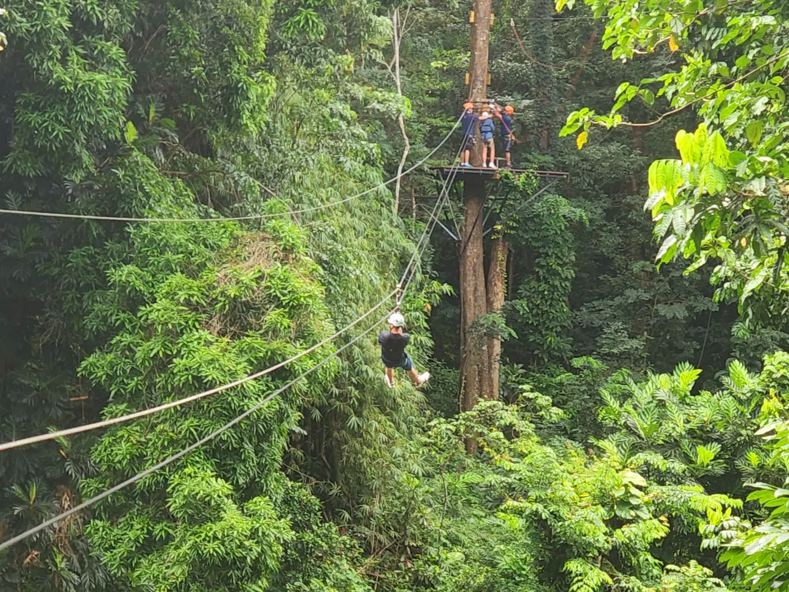 JungleQui Ziplining