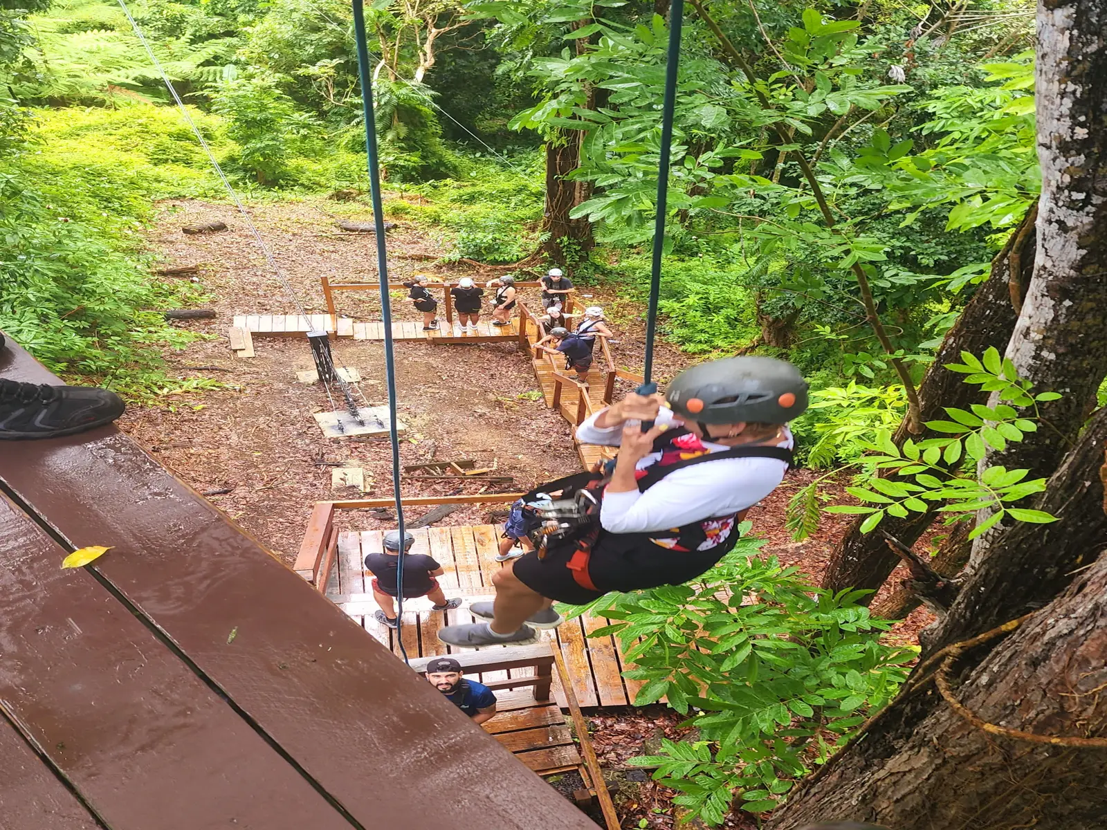 JungleQui rappel