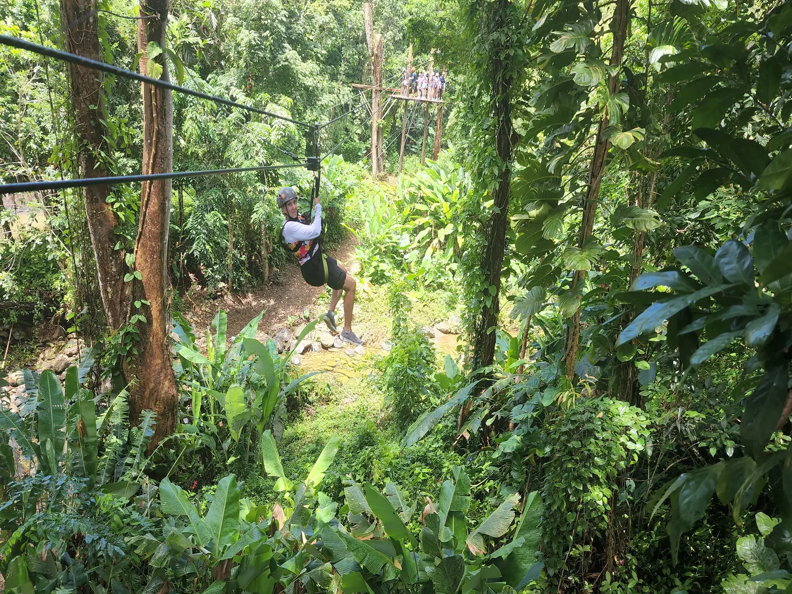 JungleQui Ziplining