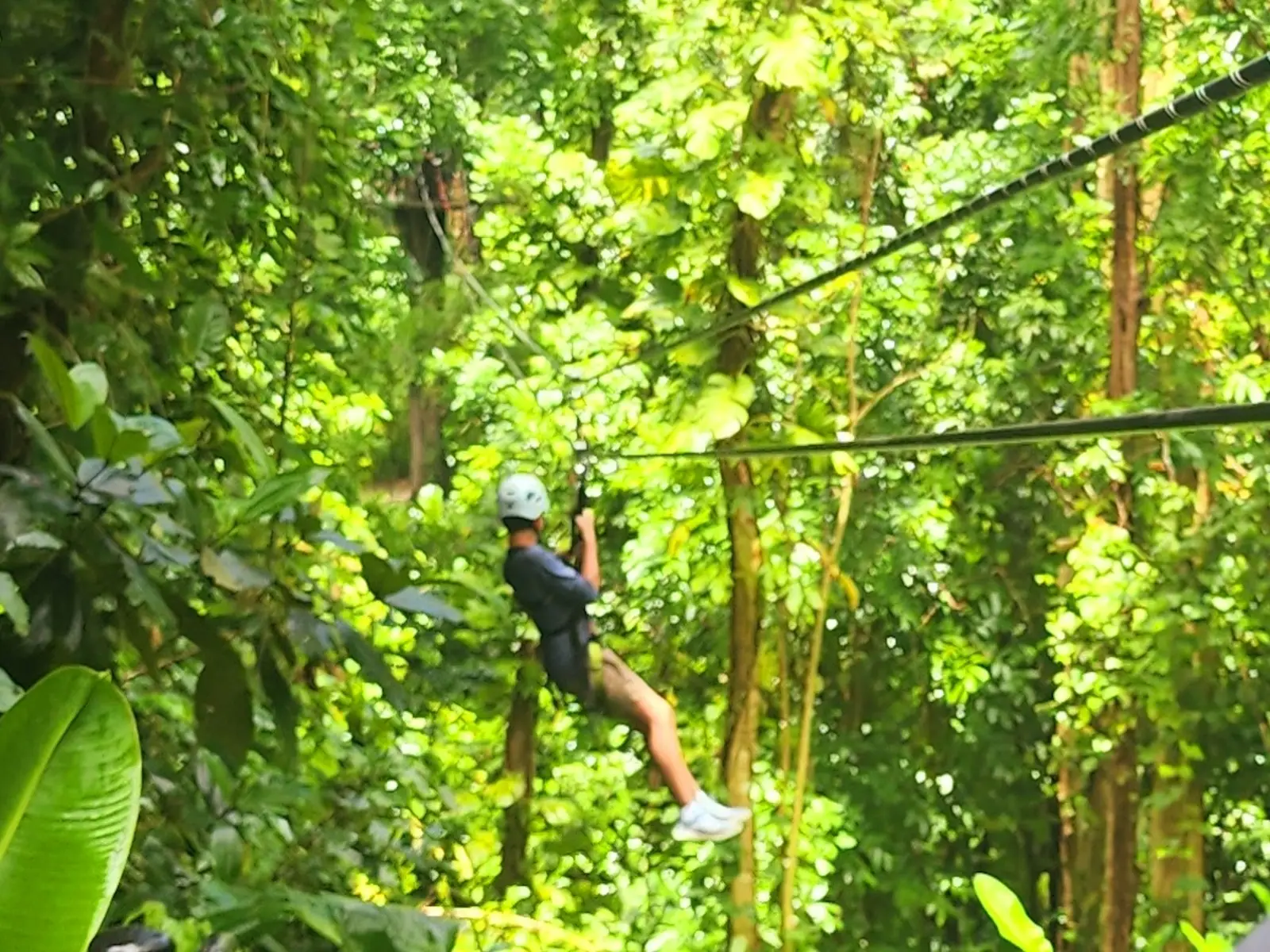 JungleQui Ziplining