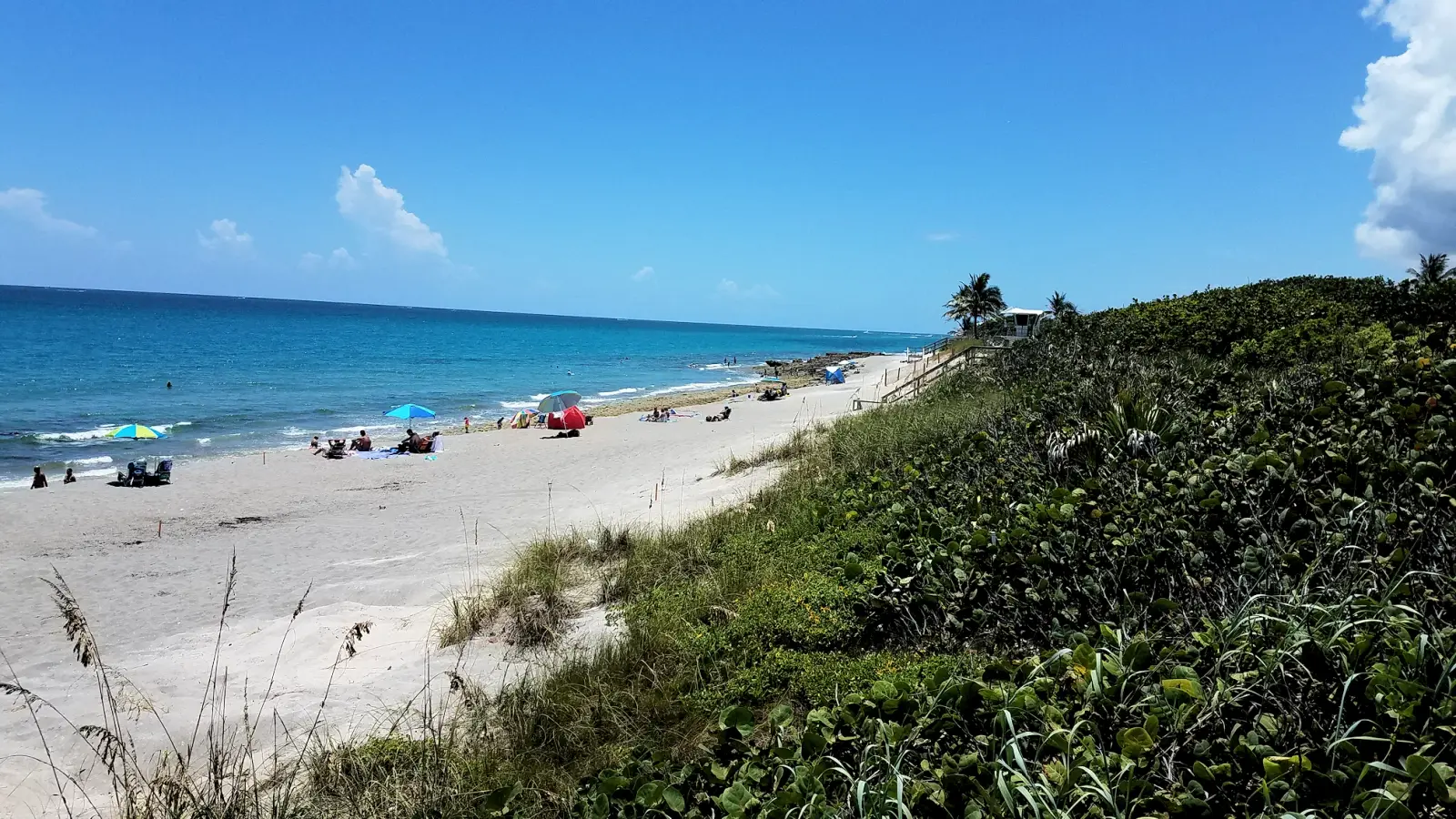 Coral Cove Park