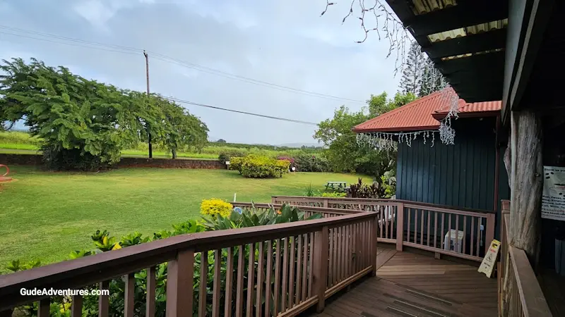 View to the sea from the visitor center