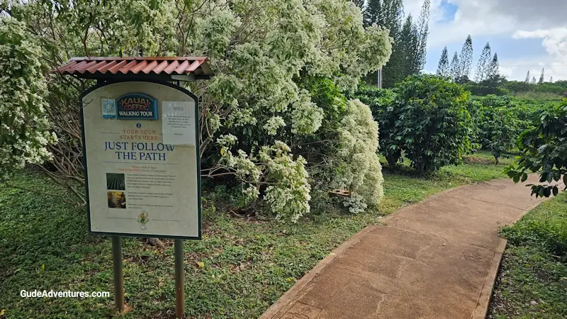  Kauai Coffee Walking Tour