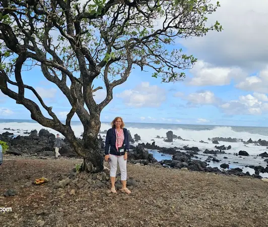 A tree on the shore at KeAnae Point