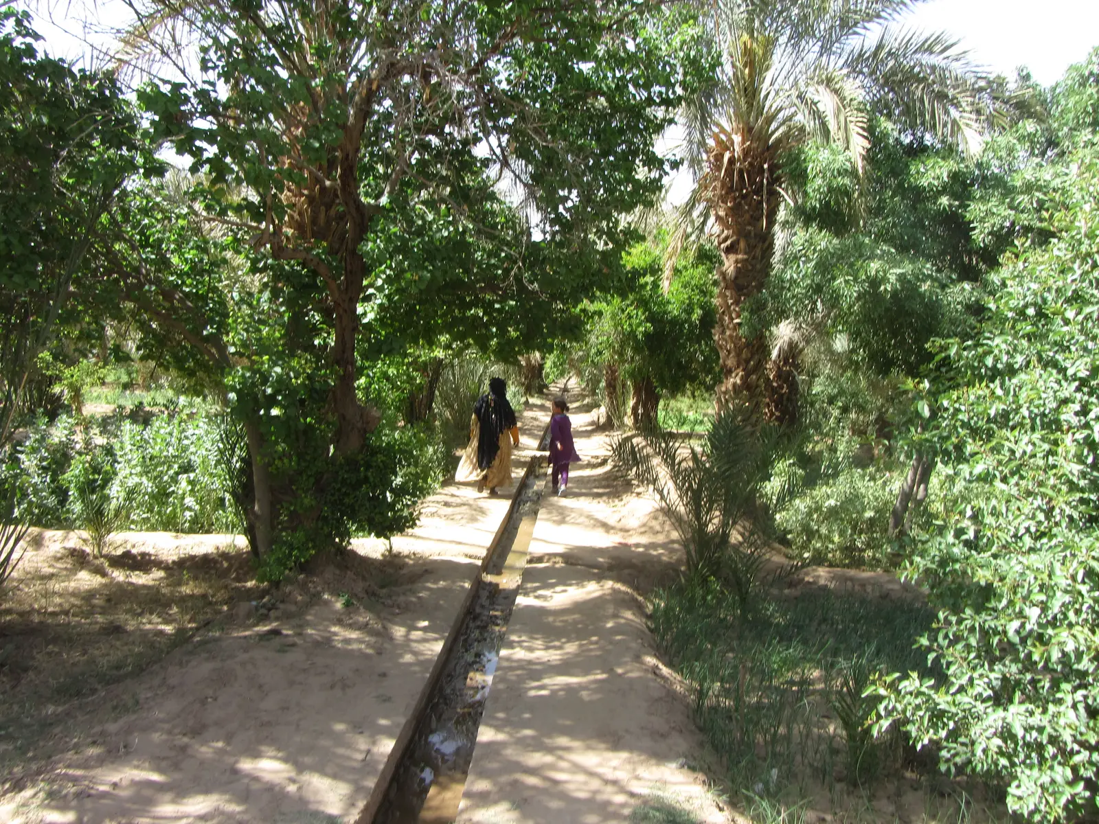 An oasis in the desert.