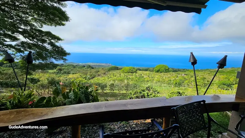 View from Kona Joe coffee farm over the coffee trees to the sea.