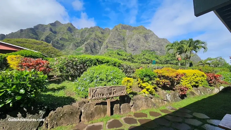 View of the Kualoa Ranch from the visitor center and restaurant.
