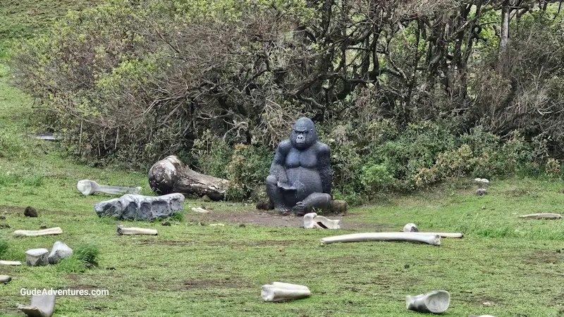 King Kong Skull Island filming location.