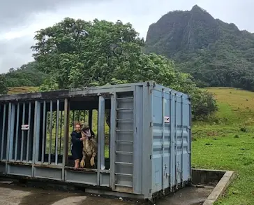 Jurassic World filming location.