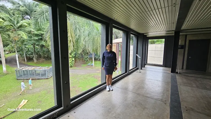 Jurassic World observation deck.
