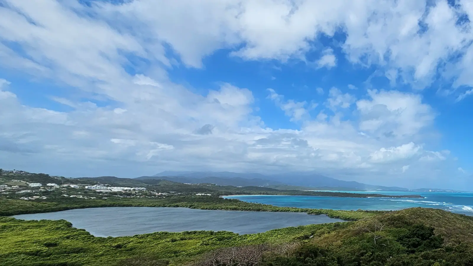 Laguna Grande bioluminescent lagoon 