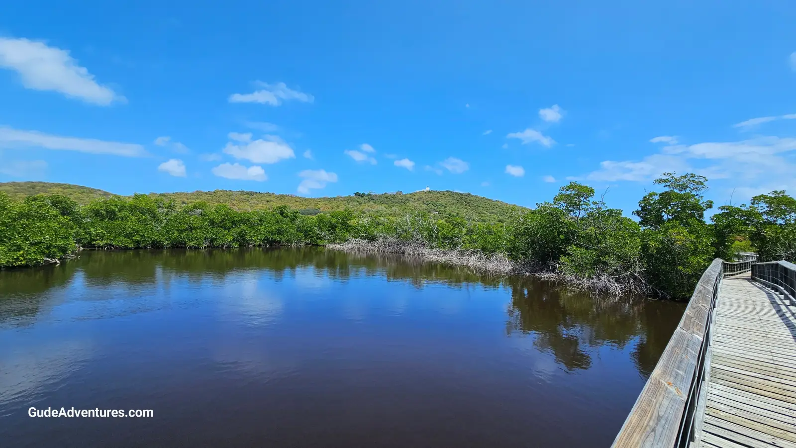 Laguna Grande bioluminescent lagoon boardwalk