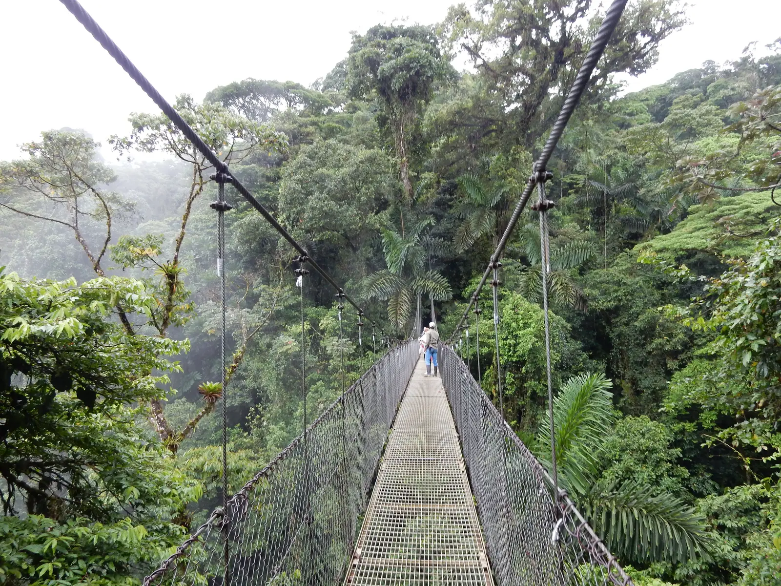 Arneal Hanging Bridges Park