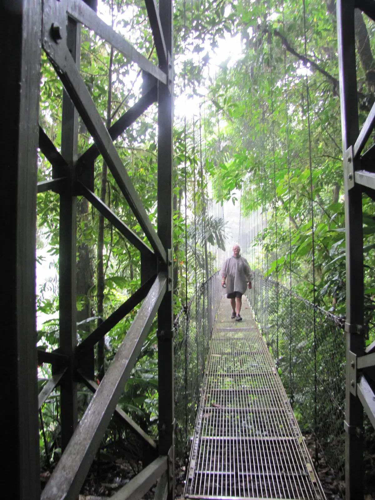 Arneal Hanging Bridges Park