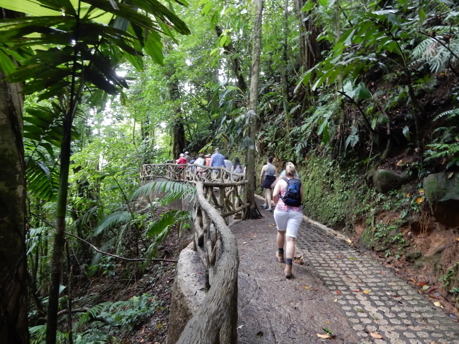 Arneal Hanging Bridges Park