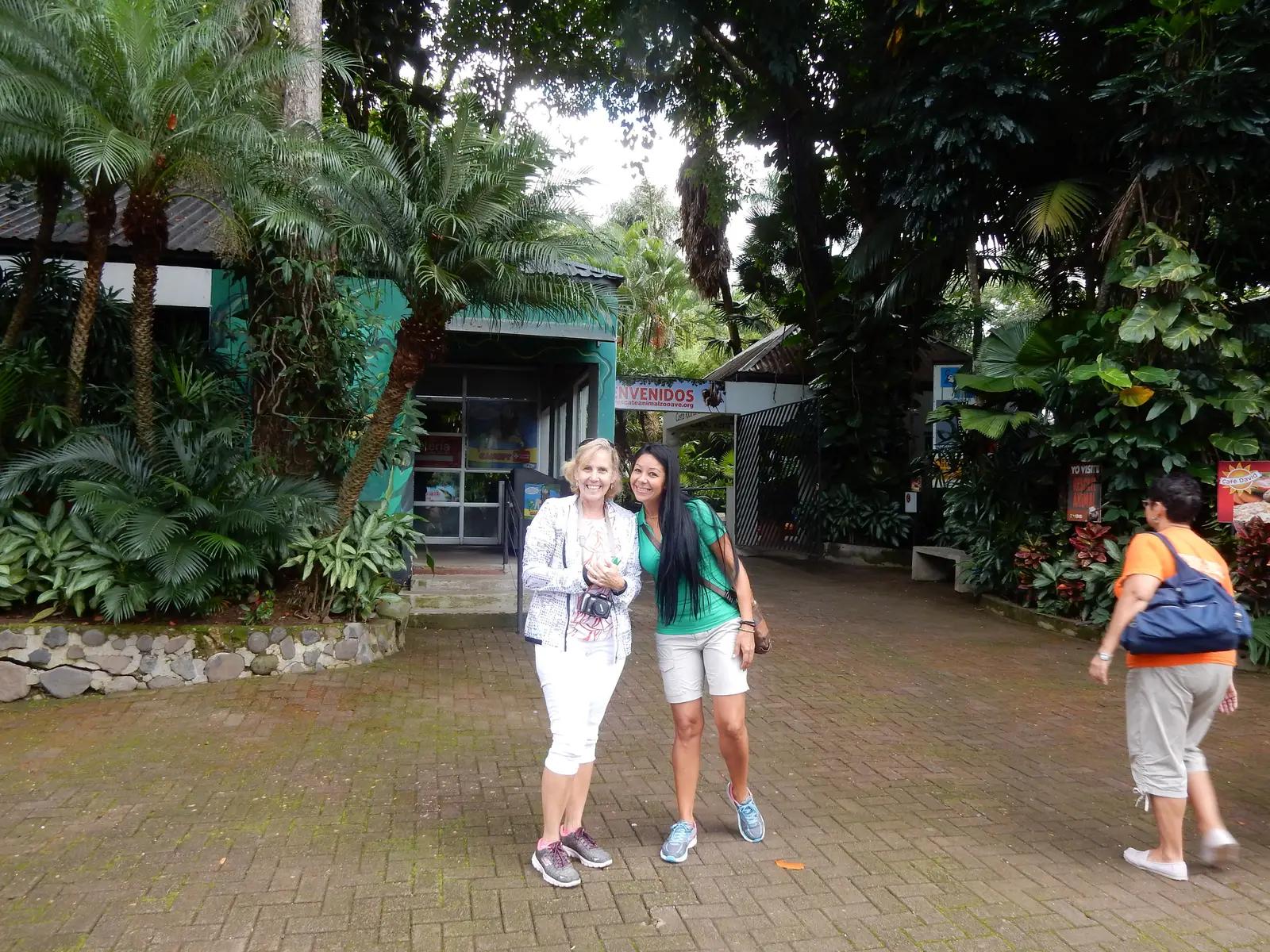 Rescate Animal Zoo Ave