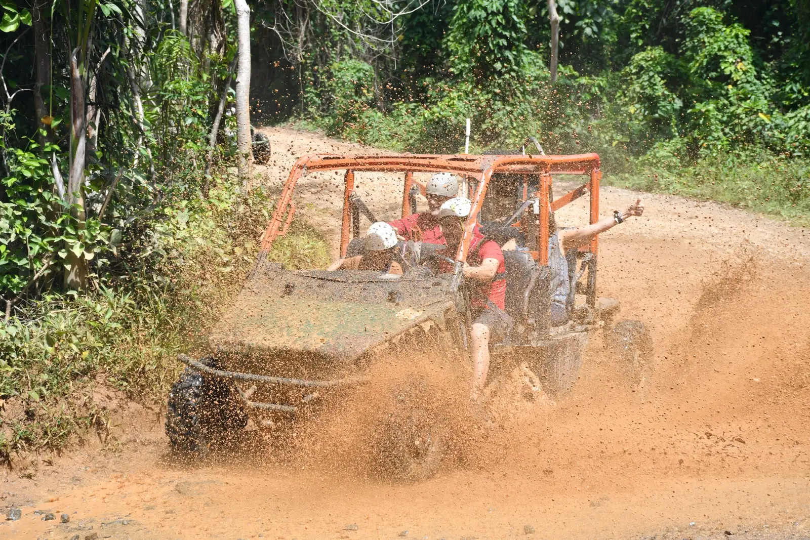 Buggy ride