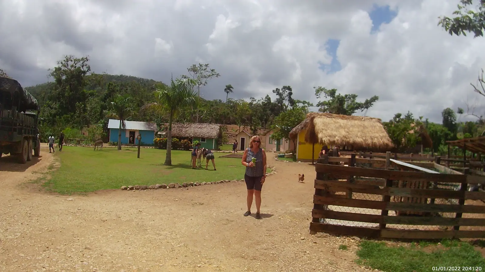 Village with farm animals