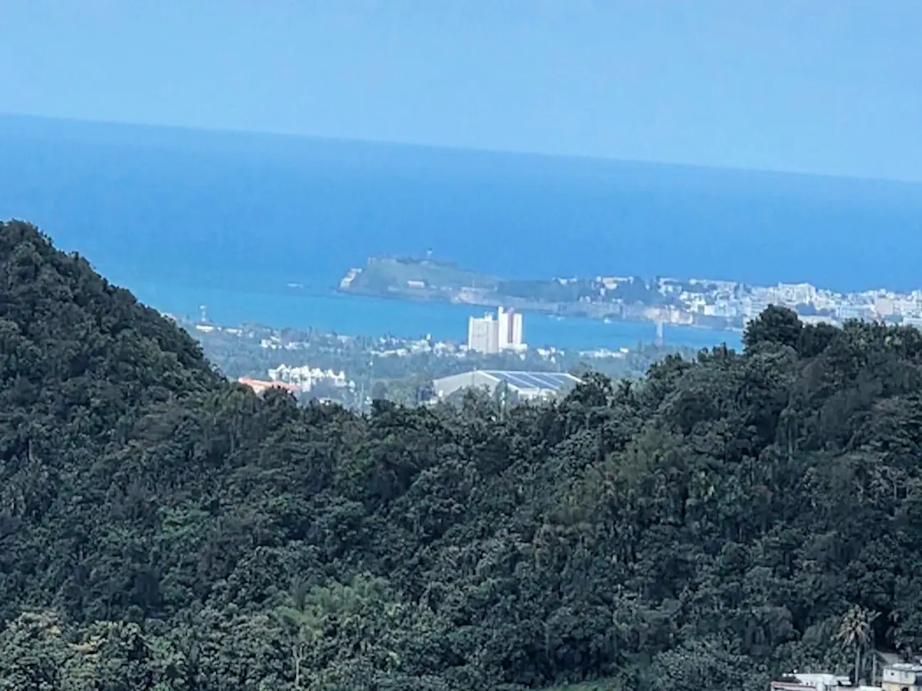 he La Marquesa Forest Park observation tower