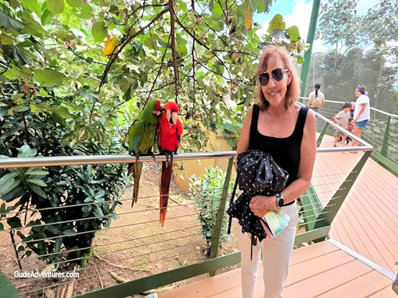 Macaws in  the La Marquesa Forest Park aviary