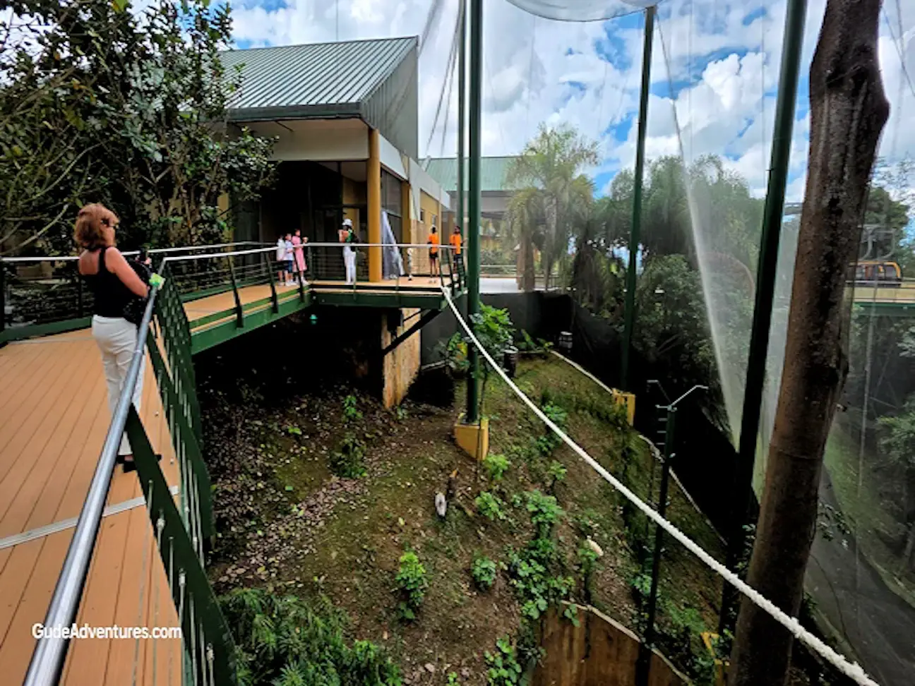 Inside the La Marquesa Forest Park aviary