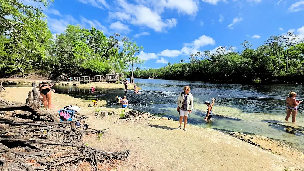 Suwannee River at the mouth of the spring.