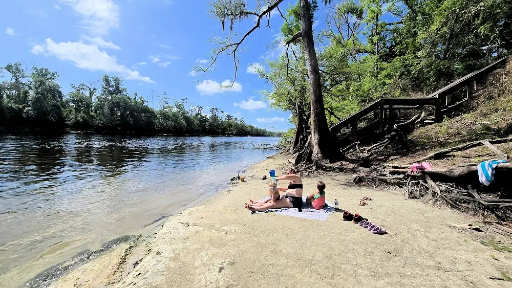 Shore of the Suwannee River.