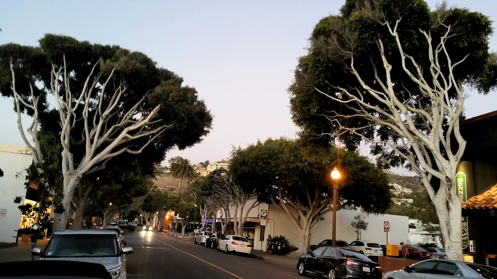 Park Avenue