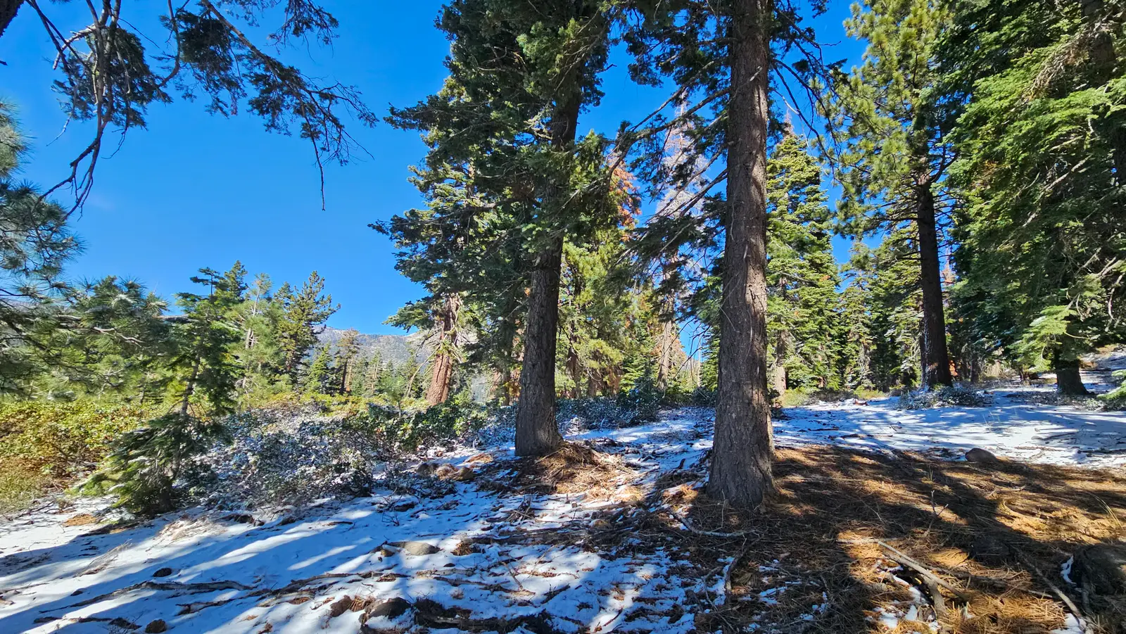 Snow on the north shore of the lake.