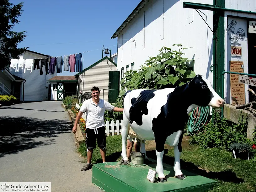 Amish farm