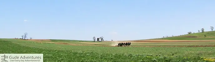 Team of horses plowing a field in Lancaster County