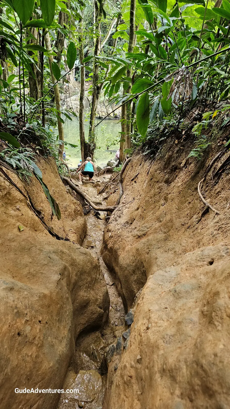 Trail to the waterfall