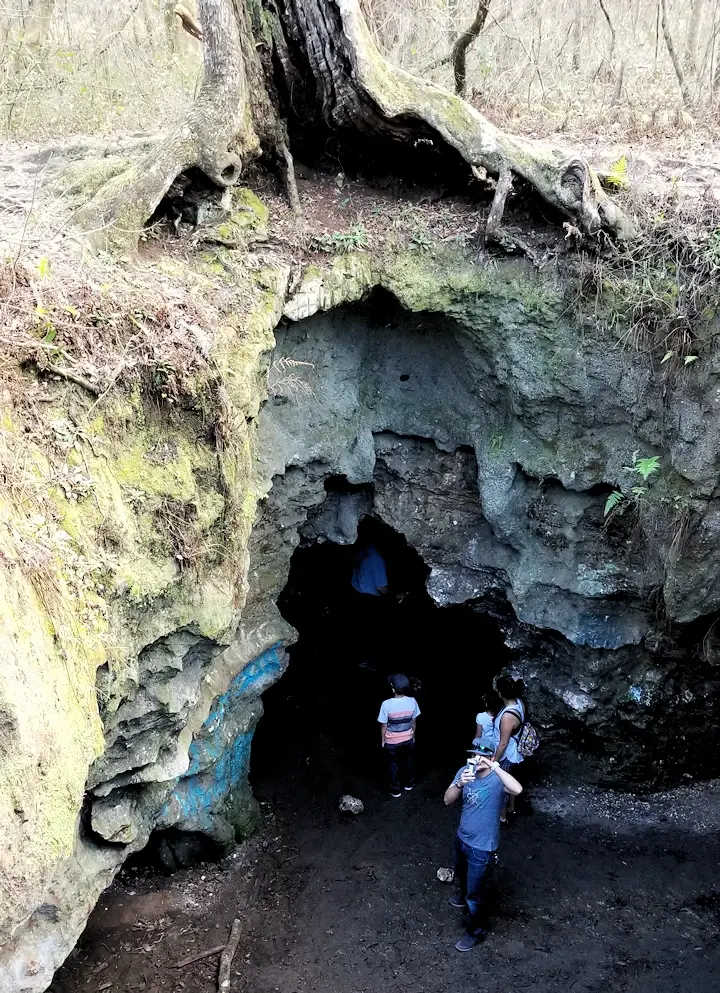 Dames Cave in the Withlacoochee State Forest