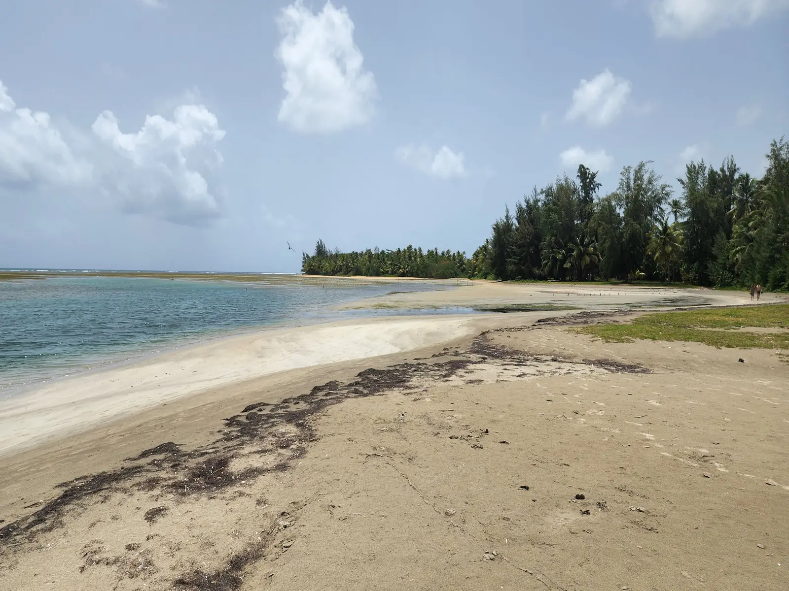 Luquillo beach