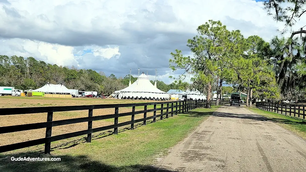 Equestrian Circus at Avalon Stables